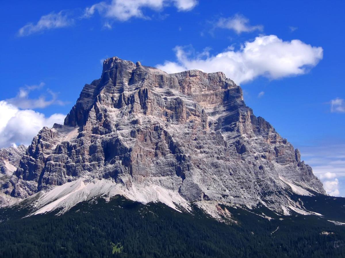 Hotel Belvedere Dolomiti Pieve di Cadore Extérieur photo