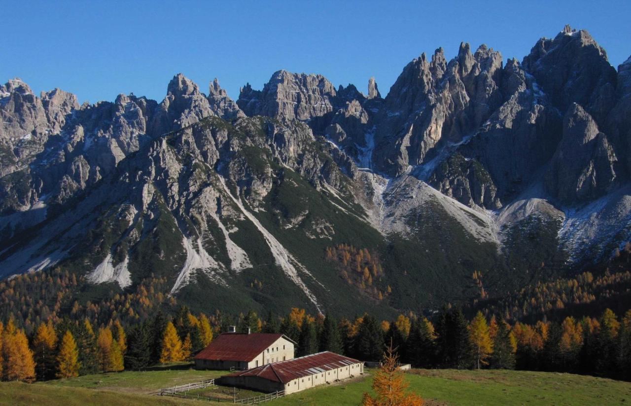 Hotel Belvedere Dolomiti Pieve di Cadore Extérieur photo