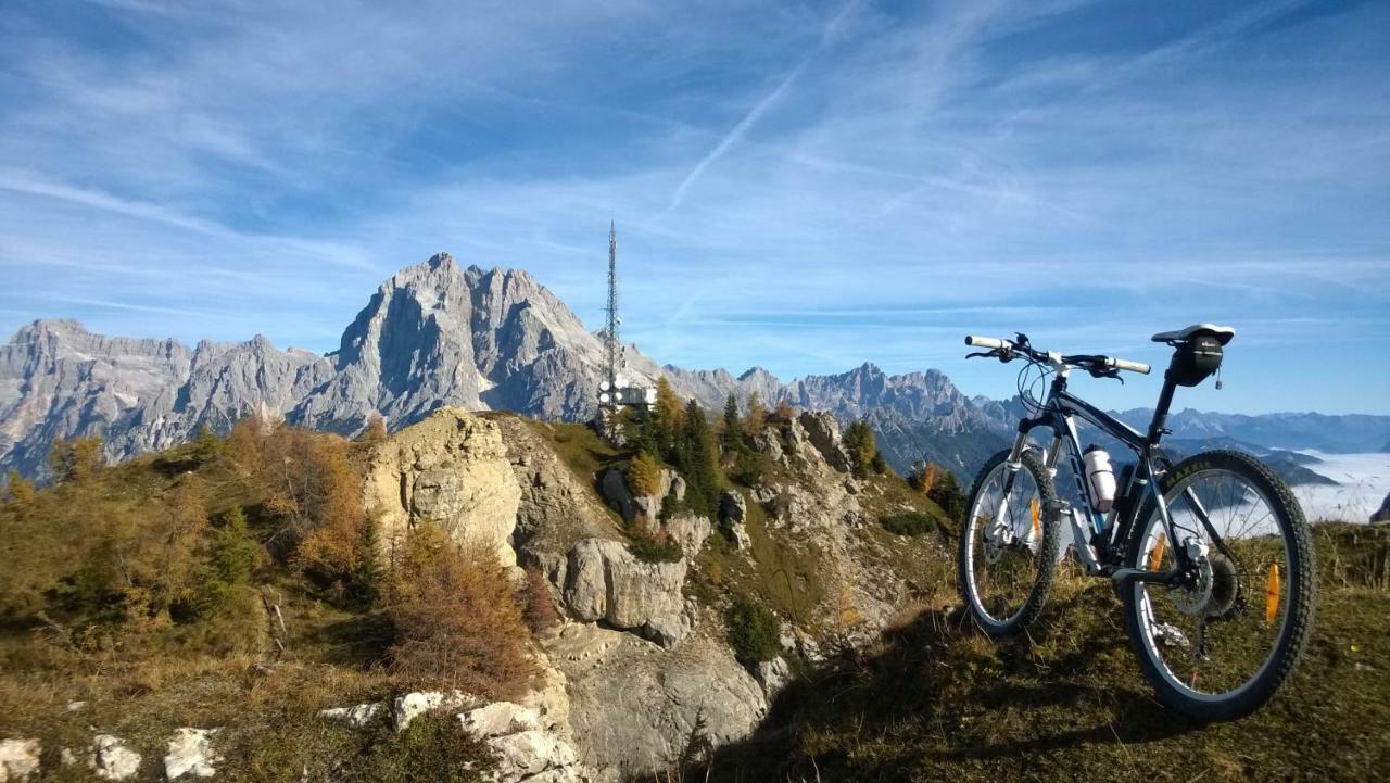 Hotel Belvedere Dolomiti Pieve di Cadore Extérieur photo